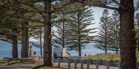 Lady Bay Beach - Attractions 1