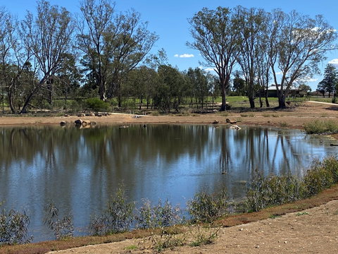 Lake King Wetlands At Rutherglen - Attractions 0