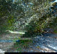 Lillypilly loop trail - Attractions