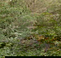Lind National Park - Attractions