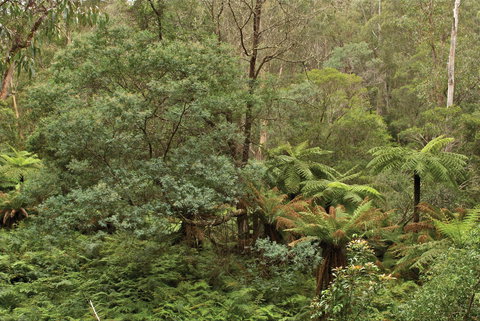 Lind National Park - Attractions 0