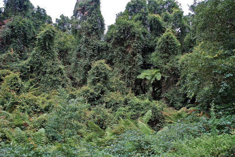 Lind National Park - Attractions 1