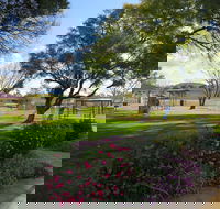 Lions Park - Attractions