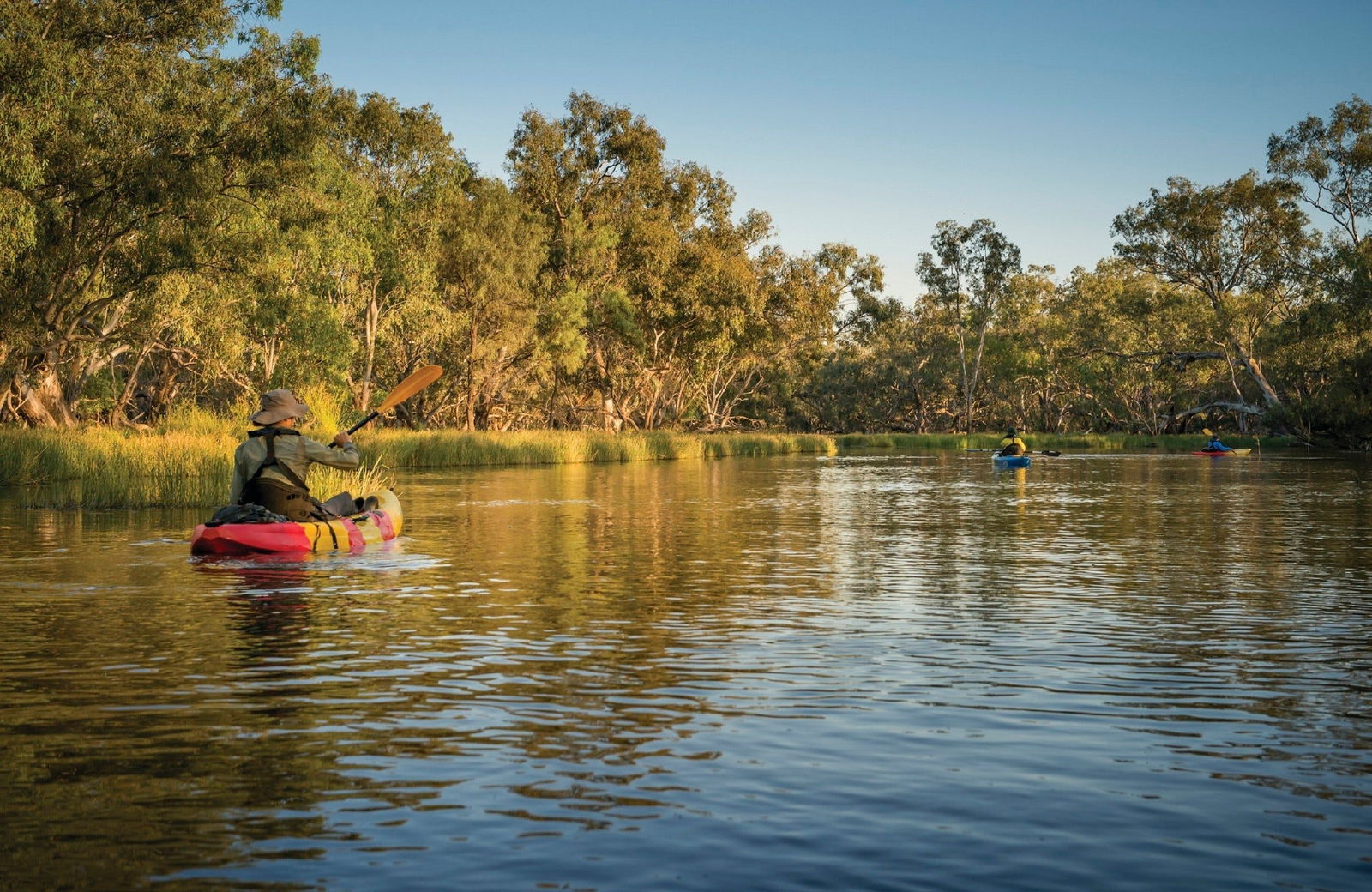 Macquarie Marshes NSW Attractions