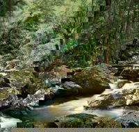 Maleny - Attractions