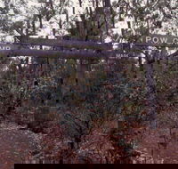 Marrinup Trail Dwellingup - Attractions