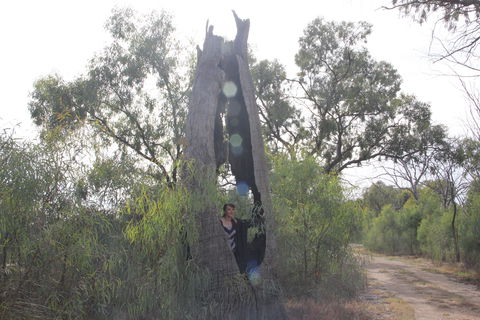 Martin Bend Wetland And Walking Trail - Attractions 1