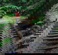 Montezuma Falls - Attractions