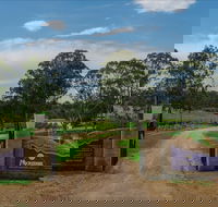Moorebank Vineyard - Attractions