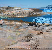 Nanarup Beach - Attractions