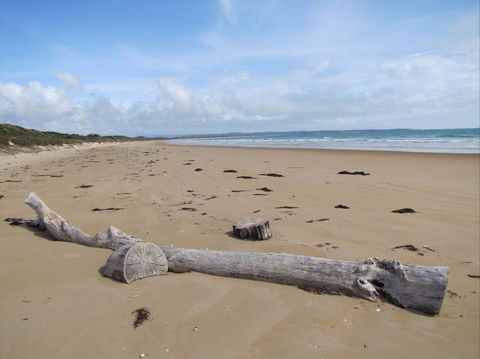 Narawntapu National Park - Attractions 2