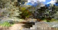 Naracoorte North Nature Park