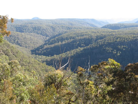Nattai Gorge Lookout - Attractions 1