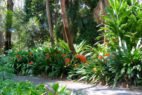 North Coast Regional Botanic Garden - Attractions 1