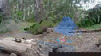 Northbrook Mountain Bush Camp