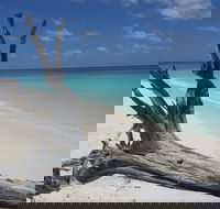 North West Island - Attractions