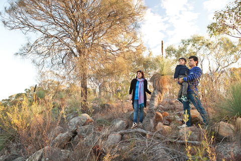 Para Wirra Conservation Park - Attractions 0