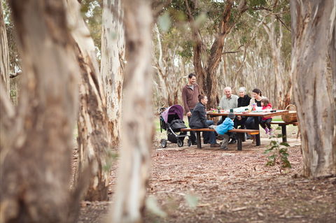 Para Wirra Conservation Park - Attractions 1