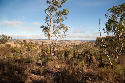 Para Wirra Conservation Park - Attractions 2