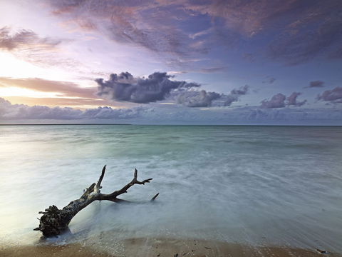 Paul Arnold Gallery - Attractions 1