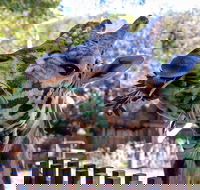 Perth Zoo - Attractions
