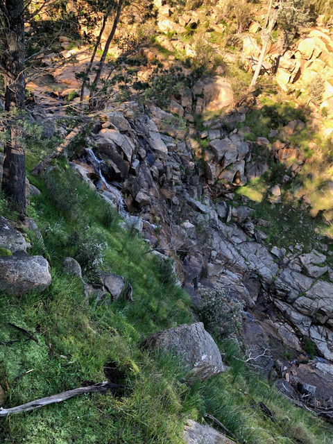 Pine Gully Nature Trail - Attractions 0