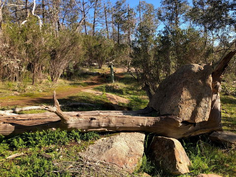 Pine Gully Nature Trail - Attractions 1