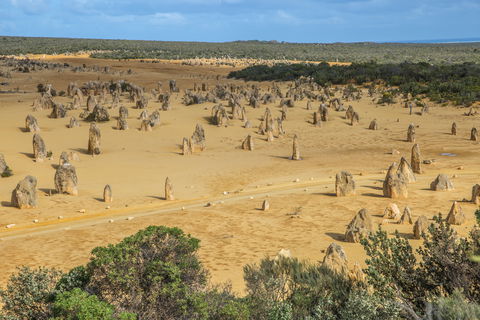 Pinnacles - Attractions 1