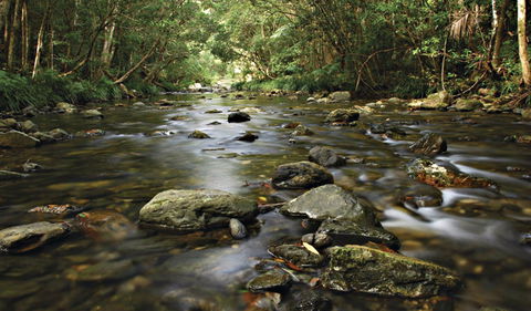 Plateau Circuit Loop Trail - Attractions 0