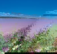 Port Gregory - Attractions