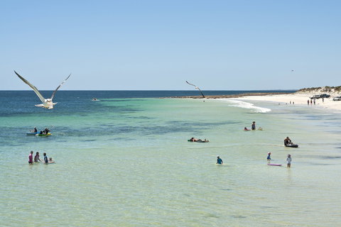 Port Rickaby - Attractions Las Vegas 0