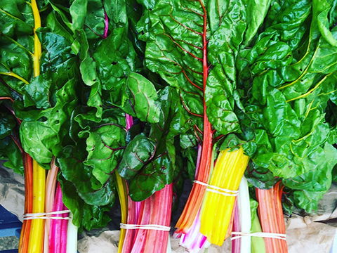 Purple Pear Farm - Attractions 0