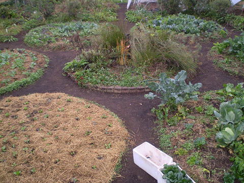 Purple Pear Farm - Attractions 1