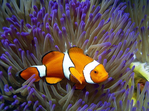 Reef HQ Aquarium - Attractions 1