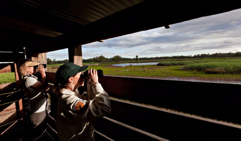 Reed Beds Bird Hide Boardwalk - Attractions 0