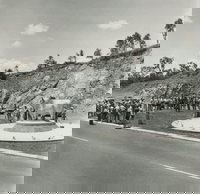 Rockhampton Bull Statues