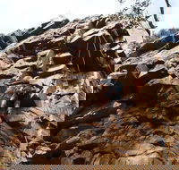 Rock Climbing in Morialta - Attractions