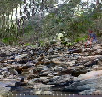 Rocksberg Park Heritage Reserve - Attractions