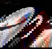 Scienceworks - Attractions