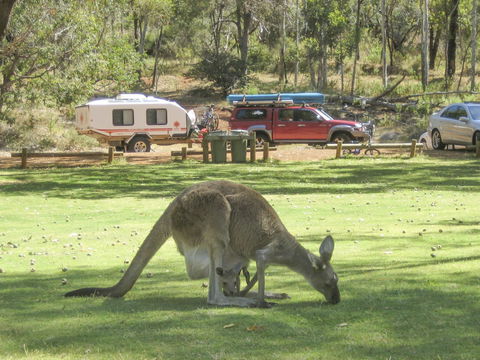 Serpentine - Attractions 1