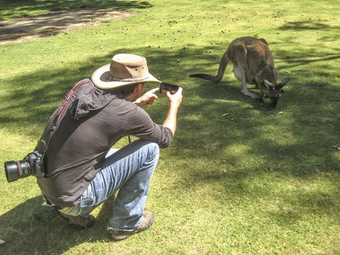 Serpentine - Attractions 2