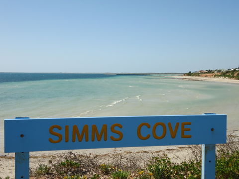 Simms Cove Lookout And Beach, Moonta Bay - Attractions 0