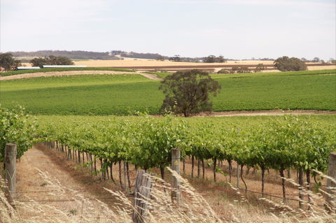 Smidge Wines Tasting Room - Attractions 0