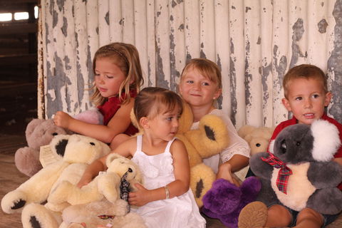 Tambo Teddies - Attractions 0