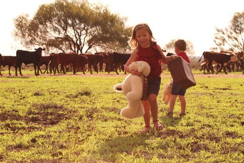 Tambo Teddies - Attractions 1