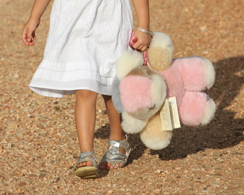 Tambo Teddies - Attractions 2