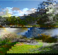 Tasmanian Arboretum Inc. - The - Attractions
