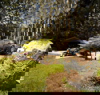 The Pines Picnic Area - Attractions
