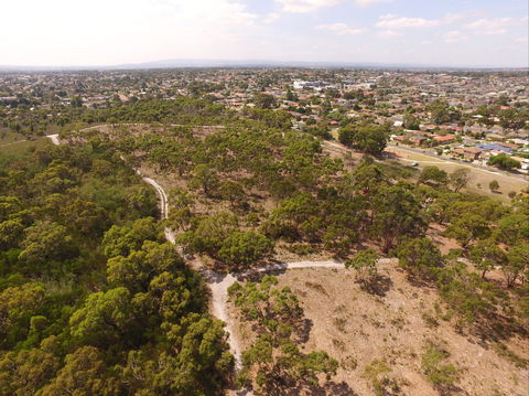 The Pines Flora And Fauna Reserve - Attractions 0