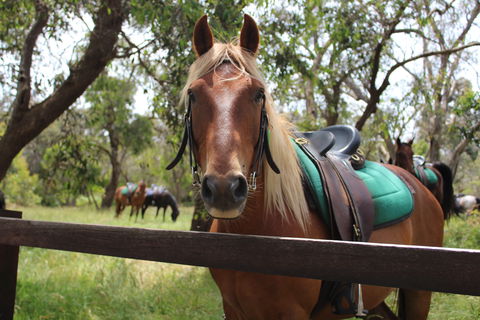 The Ranch - See Attractions 2